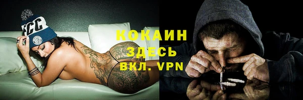 трава Горно-Алтайск