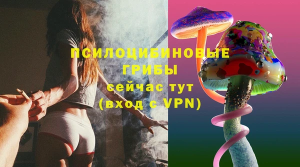 МДПВ Горняк