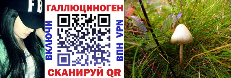 Купить где  Невьянск  Псилоцибиновые грибы Magic Shrooms 